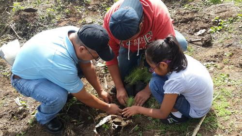 Si te gusta la naturaleza, puedes participar en Plantemos Mil Árboles. (Foto: Plantemos Mil Árboles)