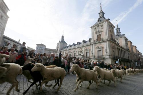Los vecinos de Madrid registraron con fotos el peculiar desfile. (Foto: EFE)