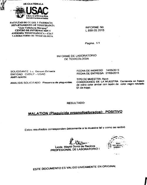 Resultado de la investigación de la universidad. (Foto: USAC)