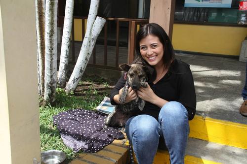 El objetivo de Guate Unida por los Animales es dar una segunda oportunidad a los animales abandonados a través de la adopción. (Foto: Guate Unida por los Animales)