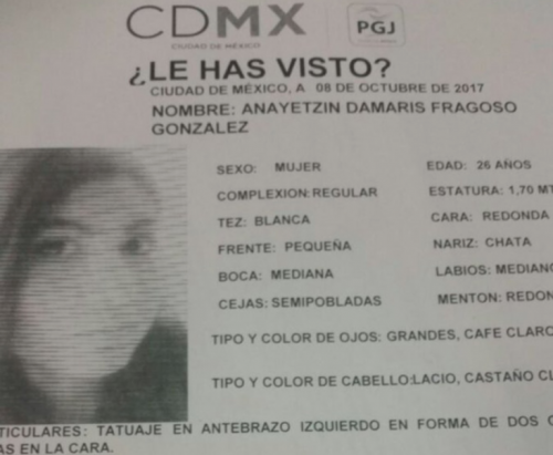 Esta es la ficha informativa divulgada por las autoridades luego de la desaparición de la mujer. (Foto: Infobae)