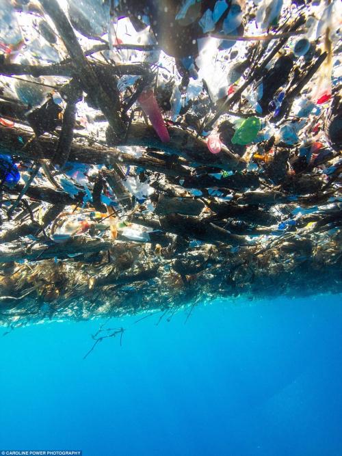 Imagen de la basura flotando en el mar. (Foto: Daily Mail)