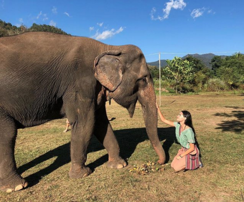 Lourdes Figueroa en un santuario de elefantes rescatados. (Foto: Instagram)
