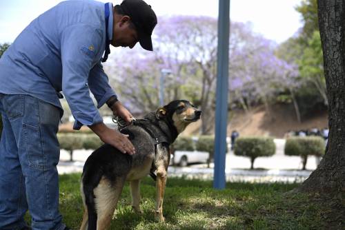 Eusebio con Solovino. (Foto:Wilder López/Soy502)