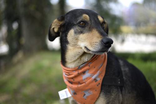 Tras años de vivir en el Teatro su estadía ahí, peligró. (Foto:Wilder López/Soy 502)