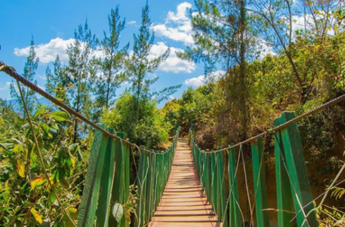 (Fotografía: @jzhangv)