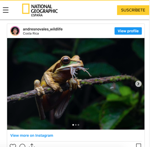 Foto: captura de pantalla
