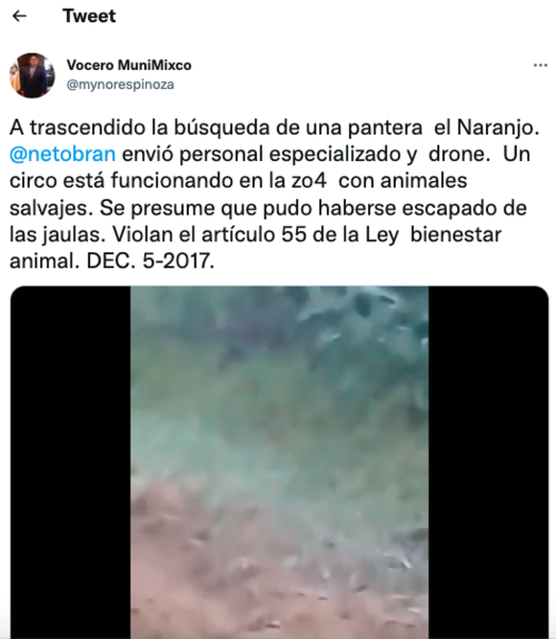 (Foto: captura de pantalla)