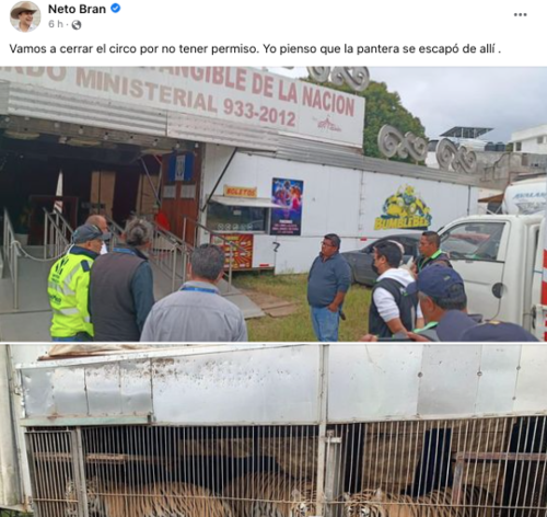 (Foto: captura de pantalla)