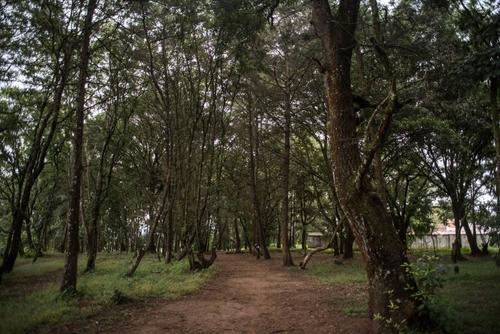 (Foto: Wilder López/Soy502)