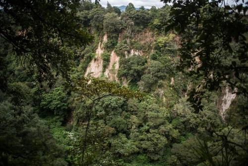 (Foto: Wilder López/Soy502)