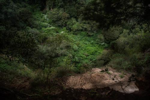 (Foto: Wilder López/Soy502)