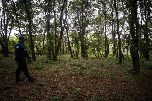 (Foto: Wilder López/Soy502)