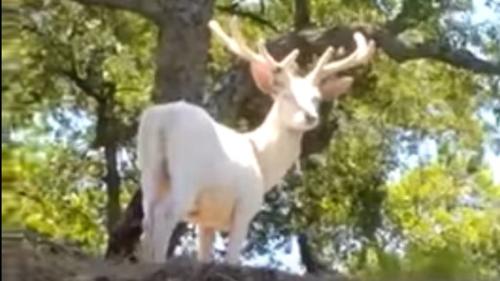 cerro mirandilla, puerta al infierno, escuintla, leyendas, santa muerte, satanismo, guatemala