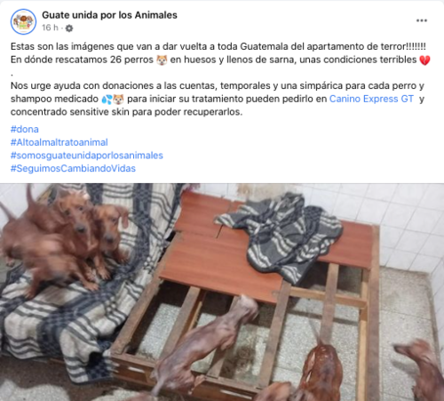 Foto: captura de pantalla