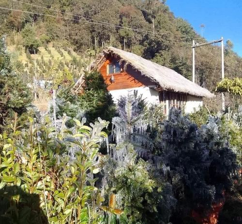 La cabaña también se cubrió con escarcha de hielo. (Foto: Noticias Sololá)