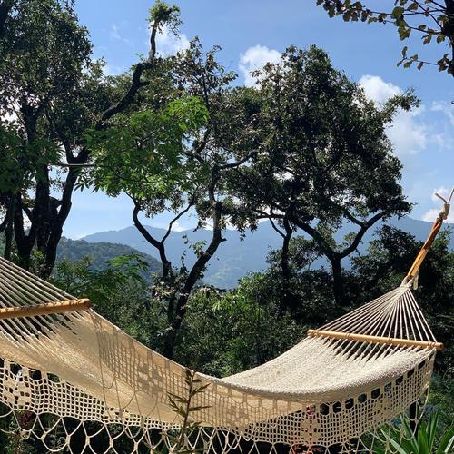 (Foto: El Hato Verde)