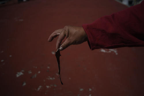 impermeabilizante aqueche, regreso a clases, ciclo escolar 2023, deterioro escuelas, escuelas mal estado, guatemala