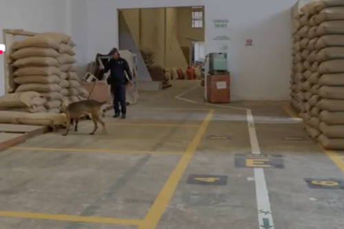 Uno de los K-9 mientras recibió el entrenamiento. (Foto: captura de pantalla)