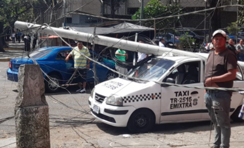 árbol avenida castellana