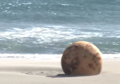 (Foto: captura de video)