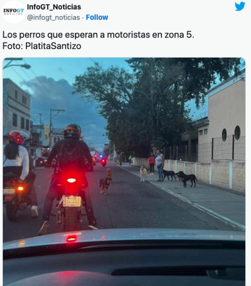 (Foto: captura de pantalla)