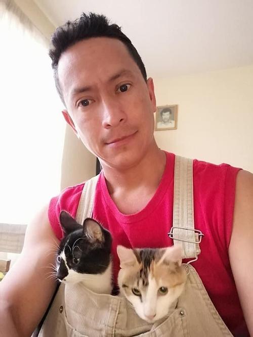 Mauricio Cifuentes, desaparición, cámaras