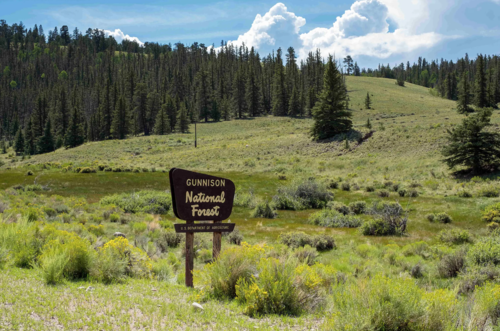 Muerte, familia, montañas