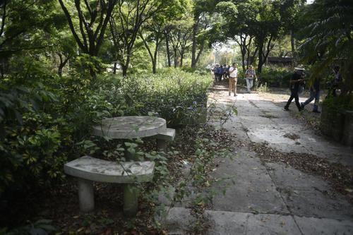 (Foto: Wilder López/Soy502)