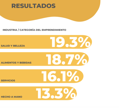 Actividades comerciales a las que se dedican las emprendedoras. (Gráfica: Wonder Woman Community)