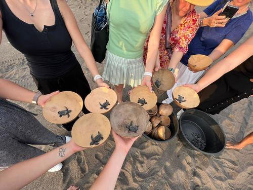 Además se puede apreciar la liberación de las tortugas. (Foto: Inguat)