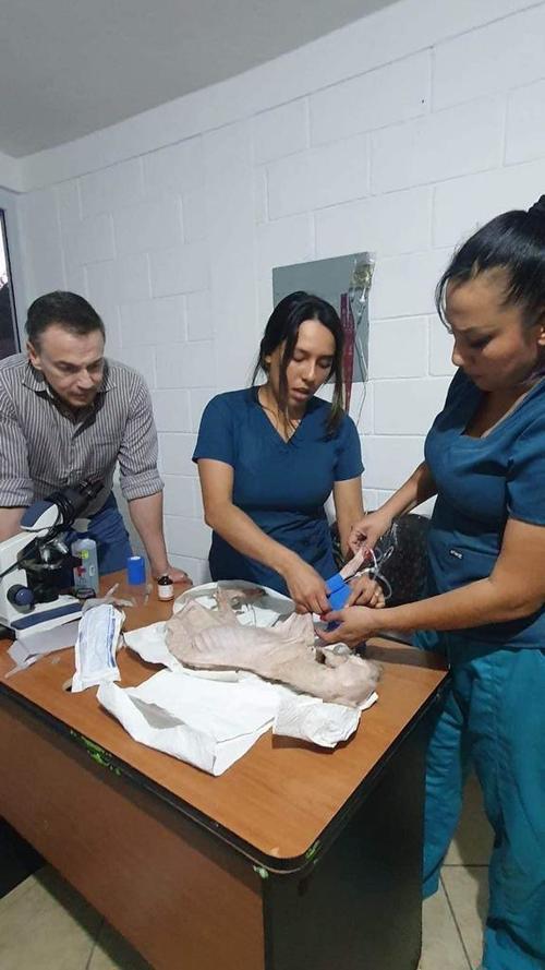 Gasparín fue atendido por los veterinarios, pero no logró sobrevivir tras los crueles tratos. (Foto: Bienestar Municipal)
