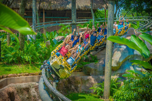 IRTRA, Xejuyup, selva, especies de aves, Quiché, experiencia, naturaleza, Guatemala, Soy502