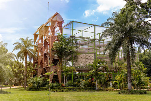 IRTRA, Xejuyup, selva, especies de aves, Quiché, experiencia, naturaleza, Guatemala, Soy502