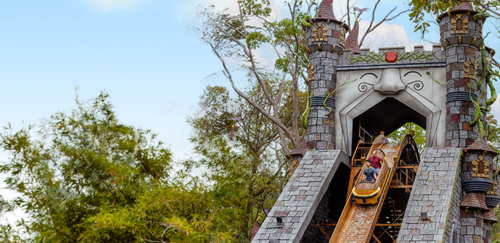 IRTRA, Xejuyup, selva, especies de aves, Quiché, experiencia, naturaleza, Guatemala, Soy502