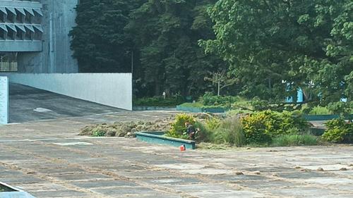 Personal de jardinería realiza trabajos en varias áreas cercanas a la Biblioteca de la Usac. (Foto: Marilin Álvarez/Soy502)