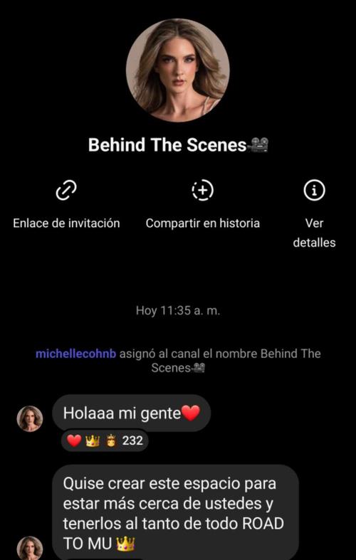 Michelle Cohn, detrás de escenas, Miss Universo