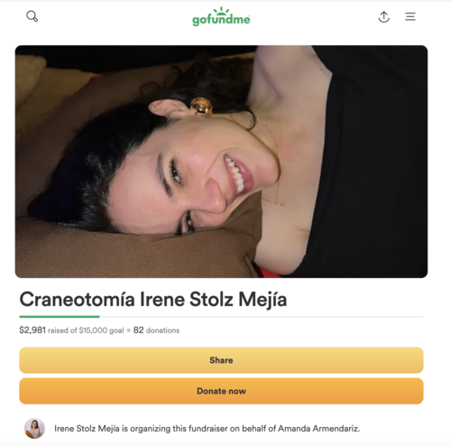 (Foto: captura de pantalla/GoFundMe)