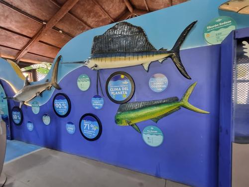 El Museo del Mar está abierto a todo público. (Foto: Andrea Llamas/Soy502)