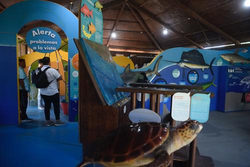 (Foto: Wilder López/Soy502)