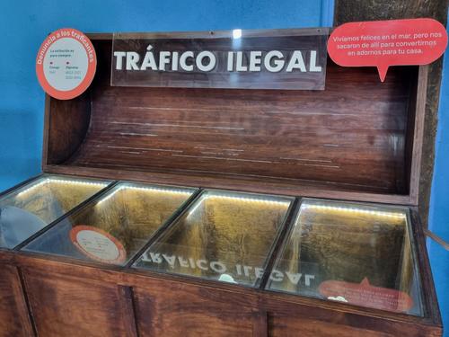 Foto: Andrea Llamas/Soy502