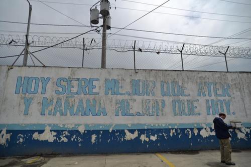 Museo, lo que no se debe hacer, gaviotas, gorriones