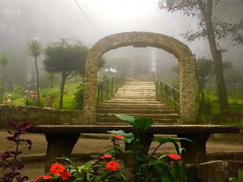 Descubre Cerro Alux, el pulmón verde de Guatemala. (Foto: cortesía AGN)