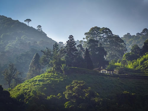 Cerro Alux: senderismo, aves y vistas espectaculares. (Foto: Oscar Rivas)