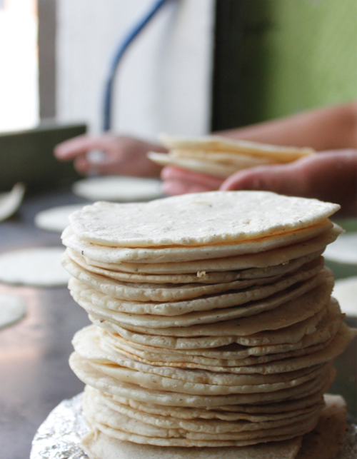 Millones de toneladas de masa se destinan cada año en el país para hacer tortillas. (Foto: Archivo)