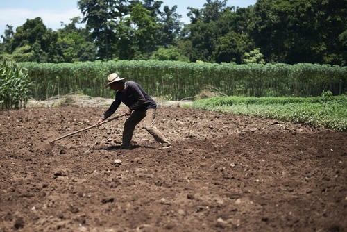 La preparación del terreno es importante, previo a la siembra. (Foto: Ángel Revolorio/Colaborador)