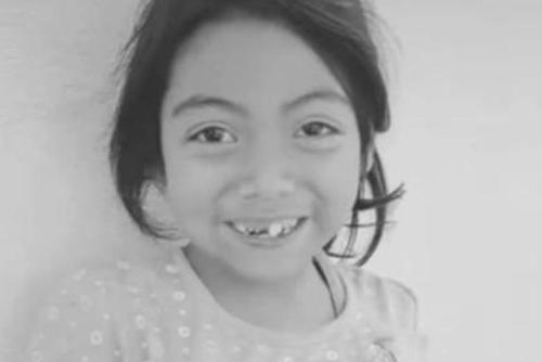 Génesis, perito, caso, audiencia