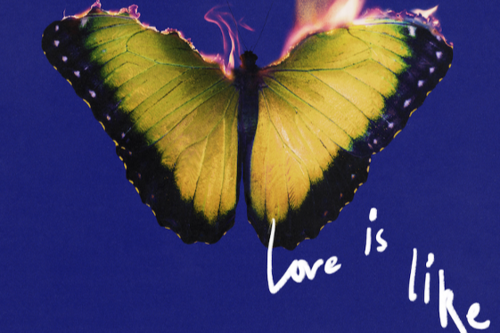 Maroon 5 y Lil Wayne muestran un día alocado en el videoclip oficial. (Foto: X)