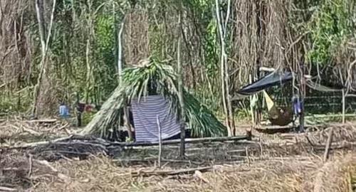 Esta es una de las imágenes de la presunta invasión de tierras, que se habría dado desde que terminó el contrato de Perenco, en el parque nacional Laguna del Tigre, en Petén. (Foto: X/Mario Rosales)