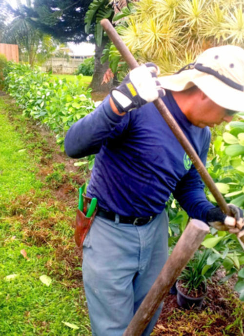 El migrante guatemalteco trabajaba como jardinero en Florida, Estados Unidos. (Foto: Alan Lima/Nuestro Diario)